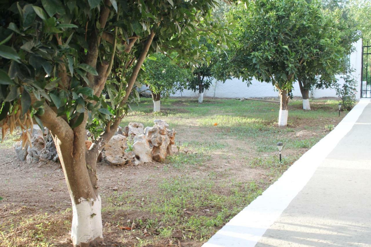 Elias Maro House Βίλα Αβδού Εξωτερικό φωτογραφία